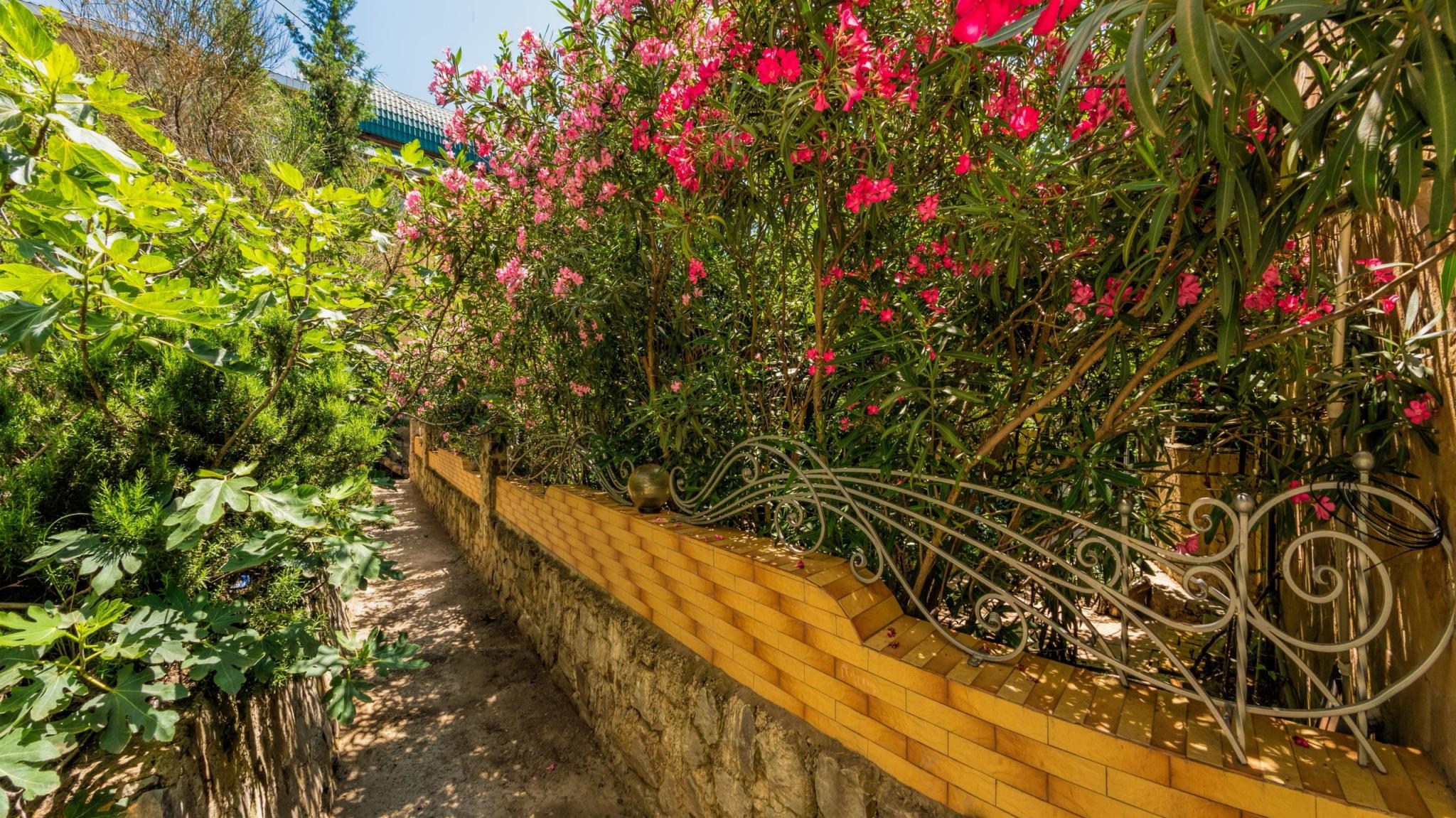 Фото Рыбачий Стан