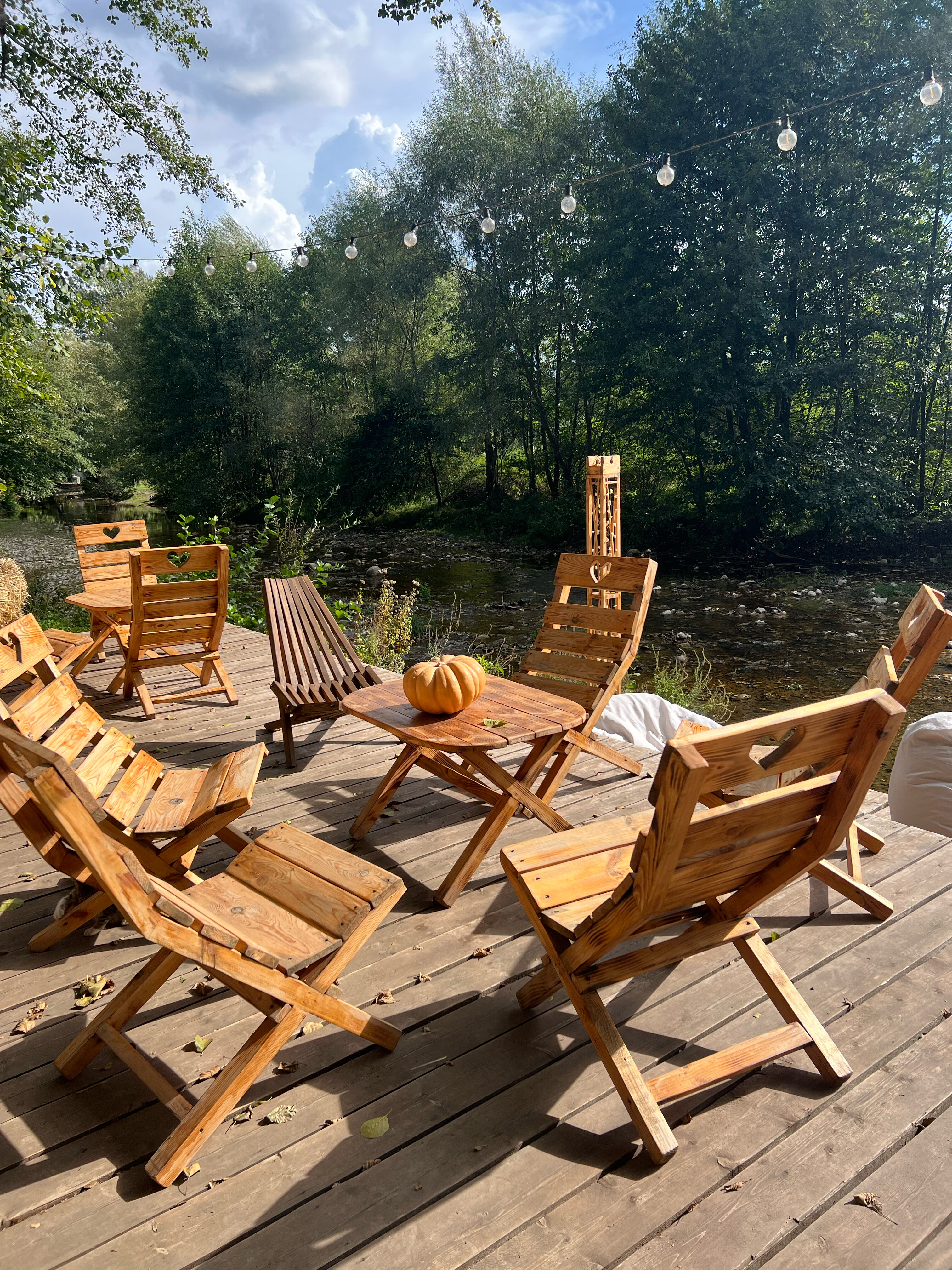 Фото Богатый лес