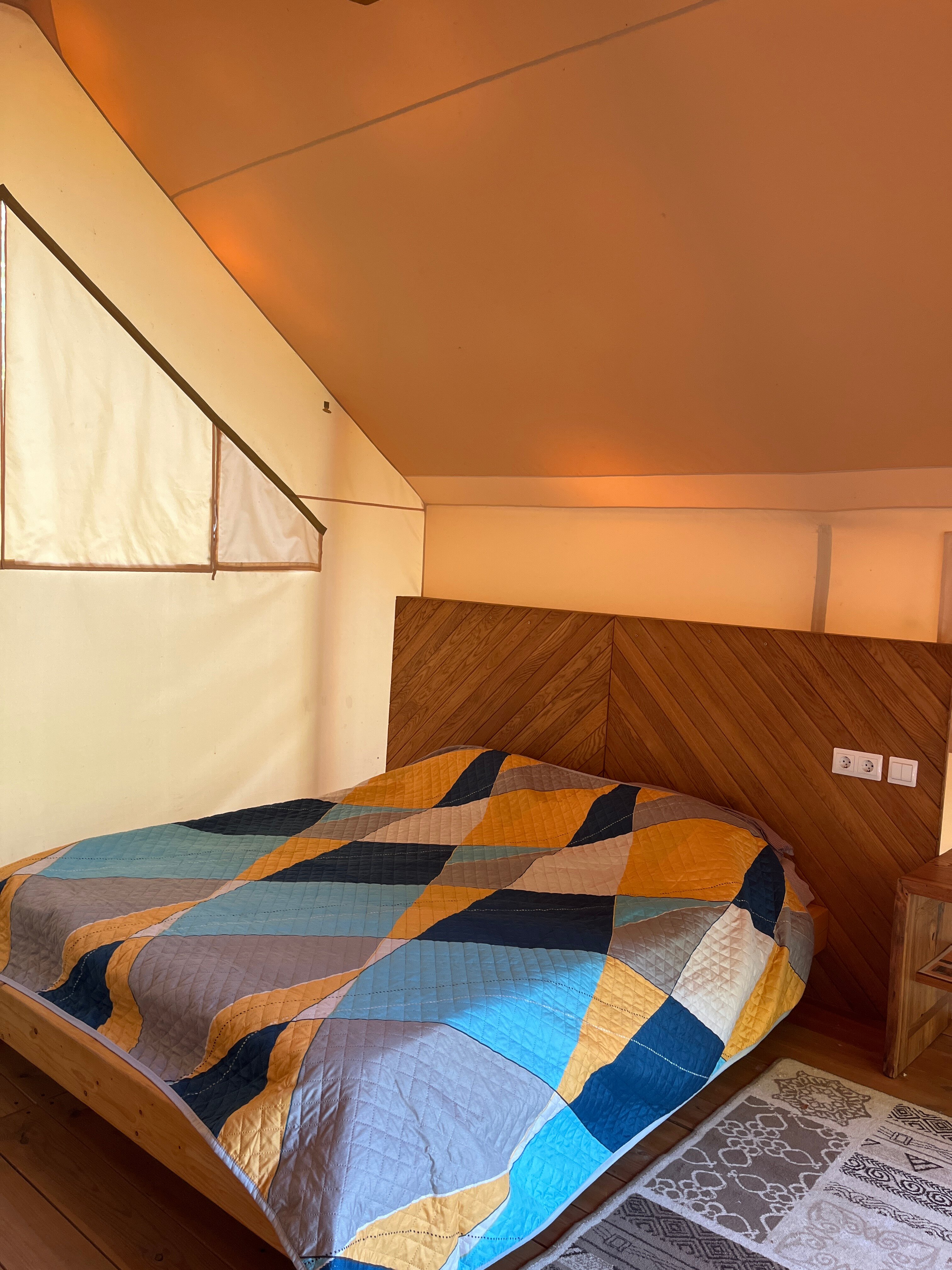 Фото Горный Енот