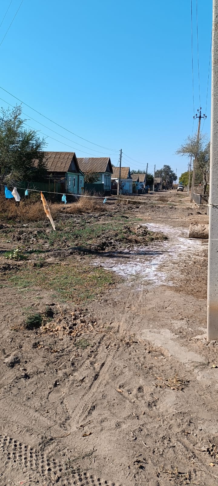 Фото Дельта