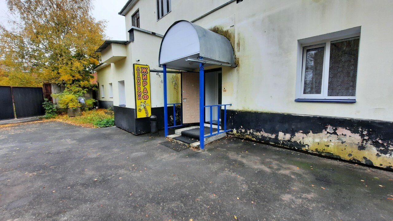 Фото Ленивый жираф