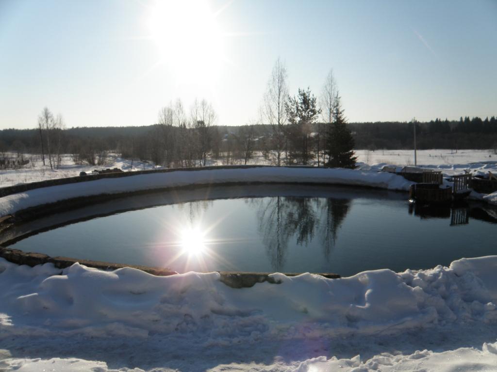 Фото Солониха