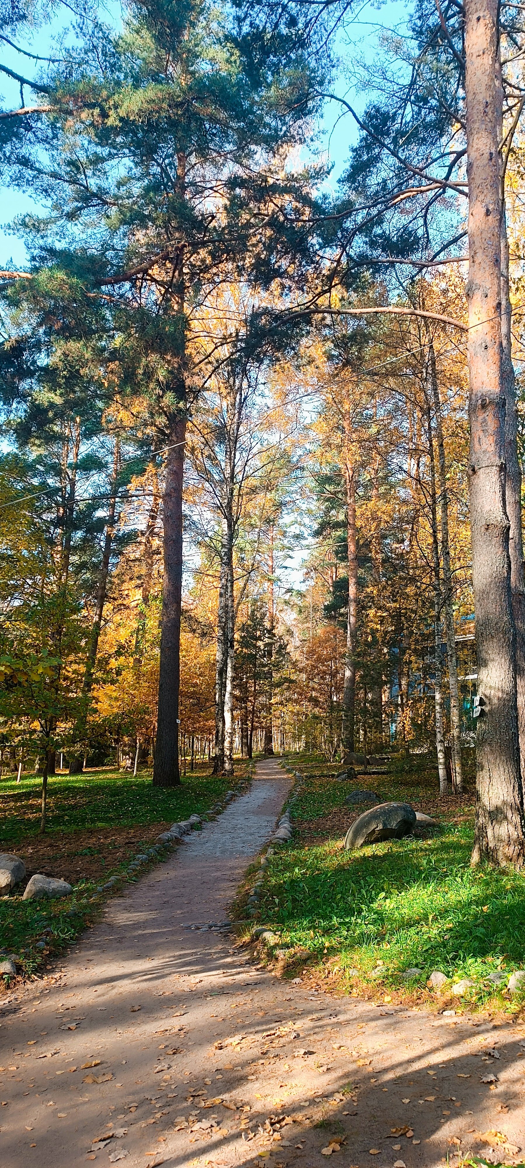 Фото Добрый Лось