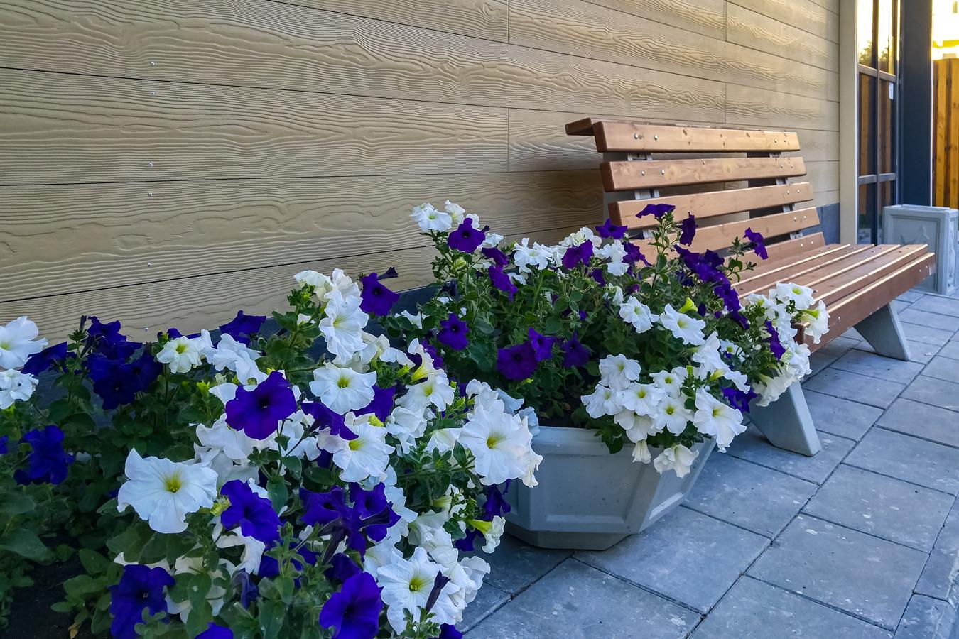 Фото Киприн