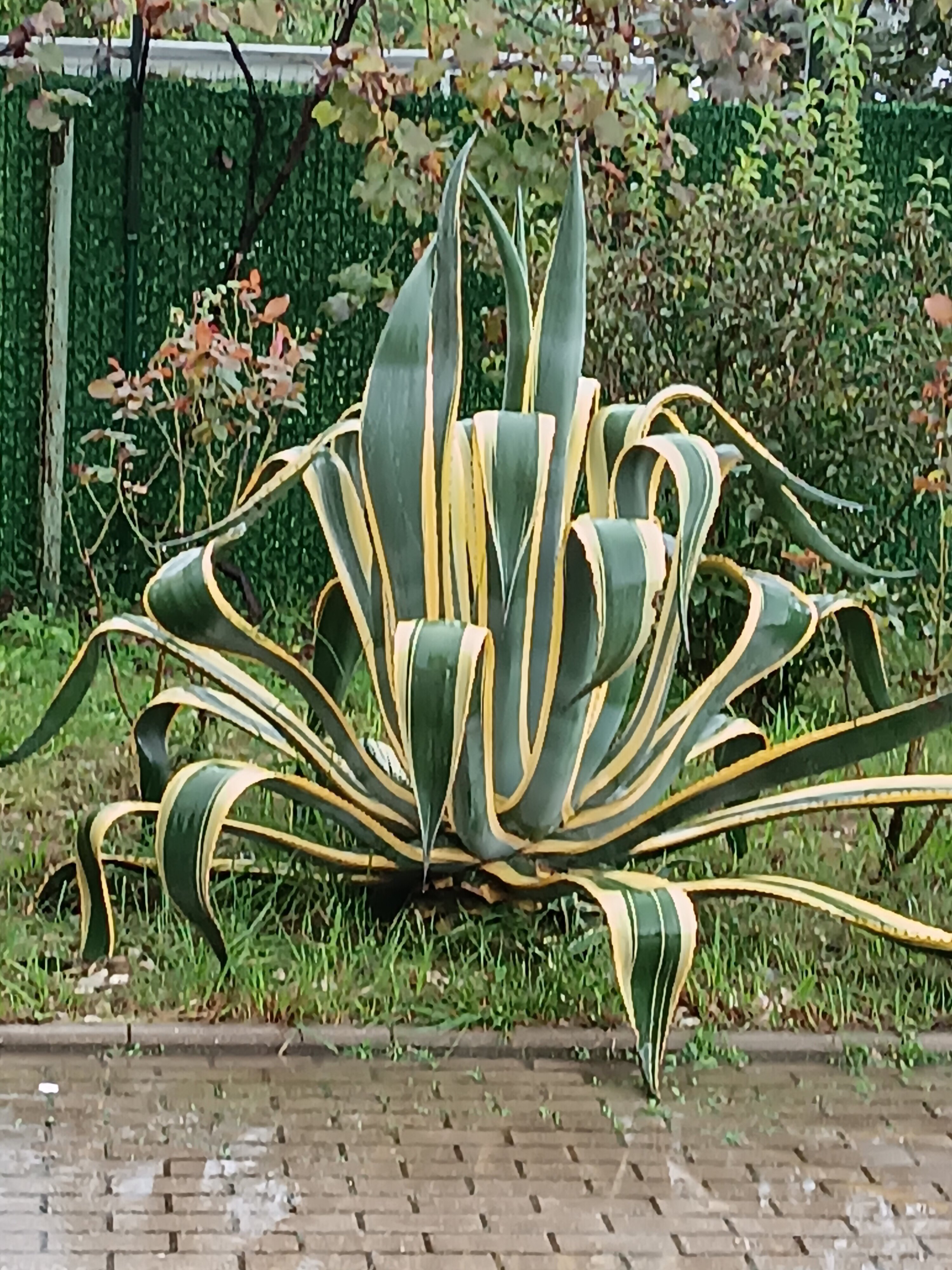 Фото Бассейн