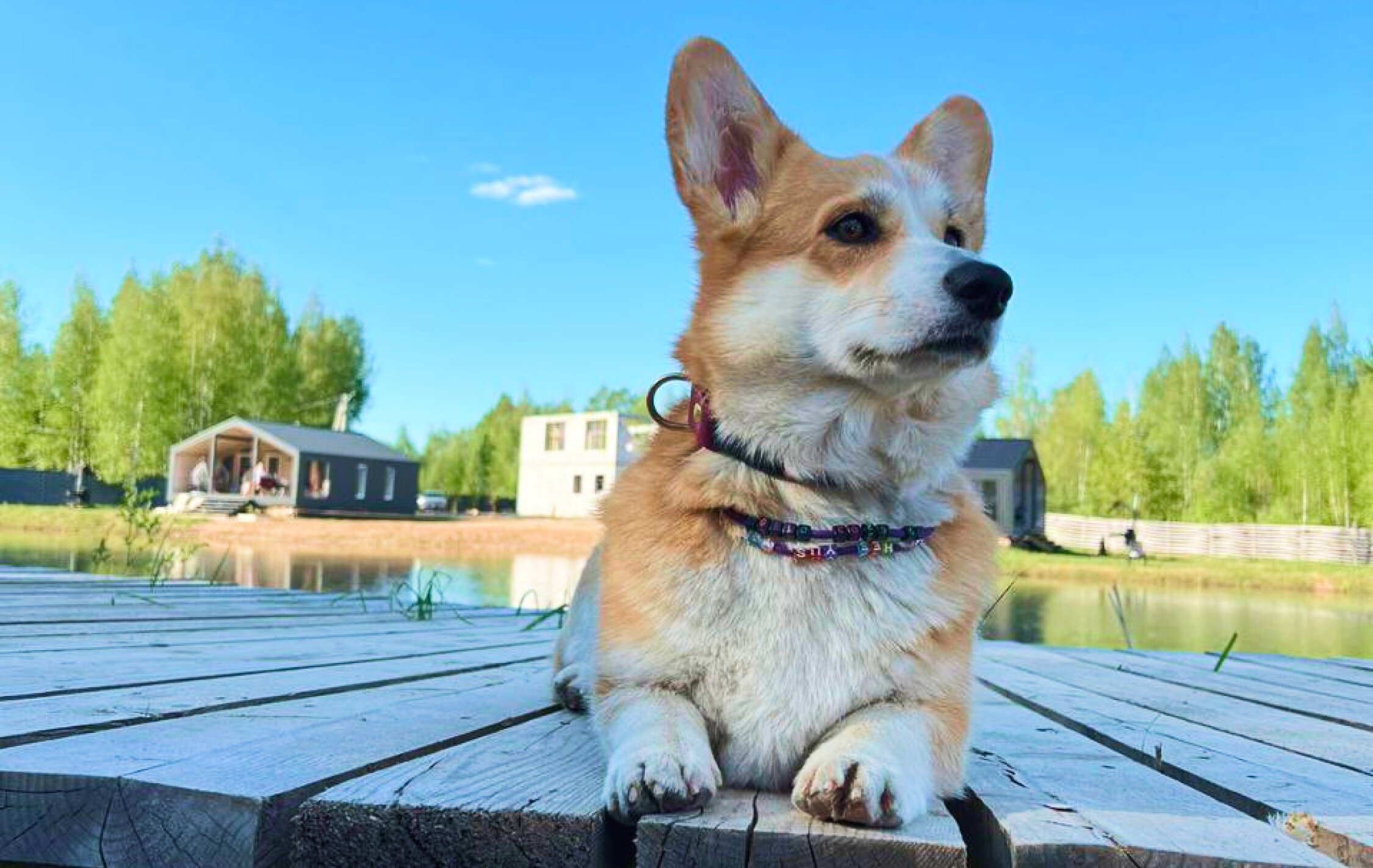 Фото Загорье