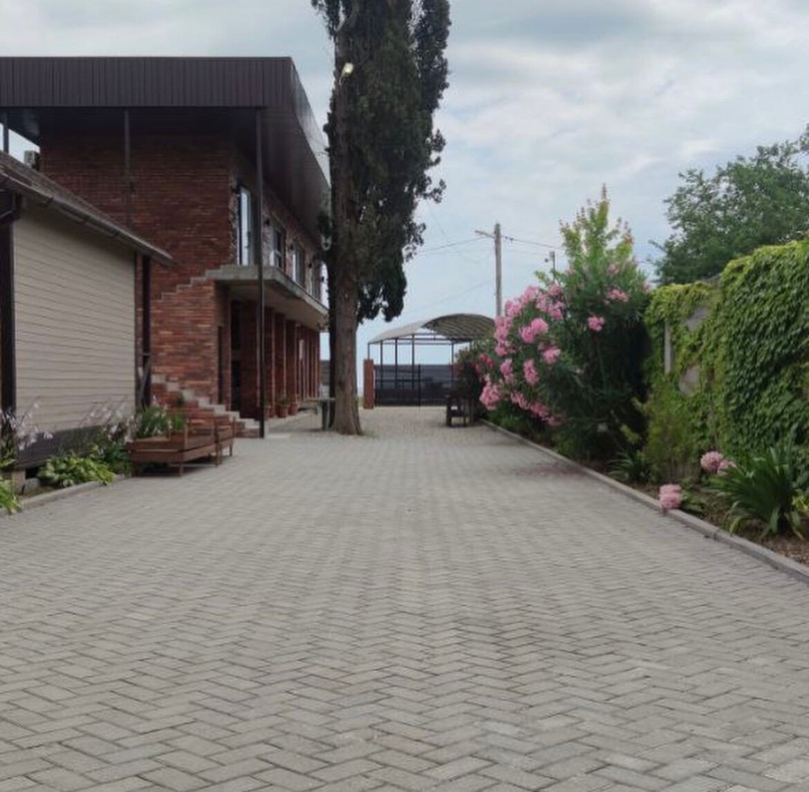 Фото Шезлонг