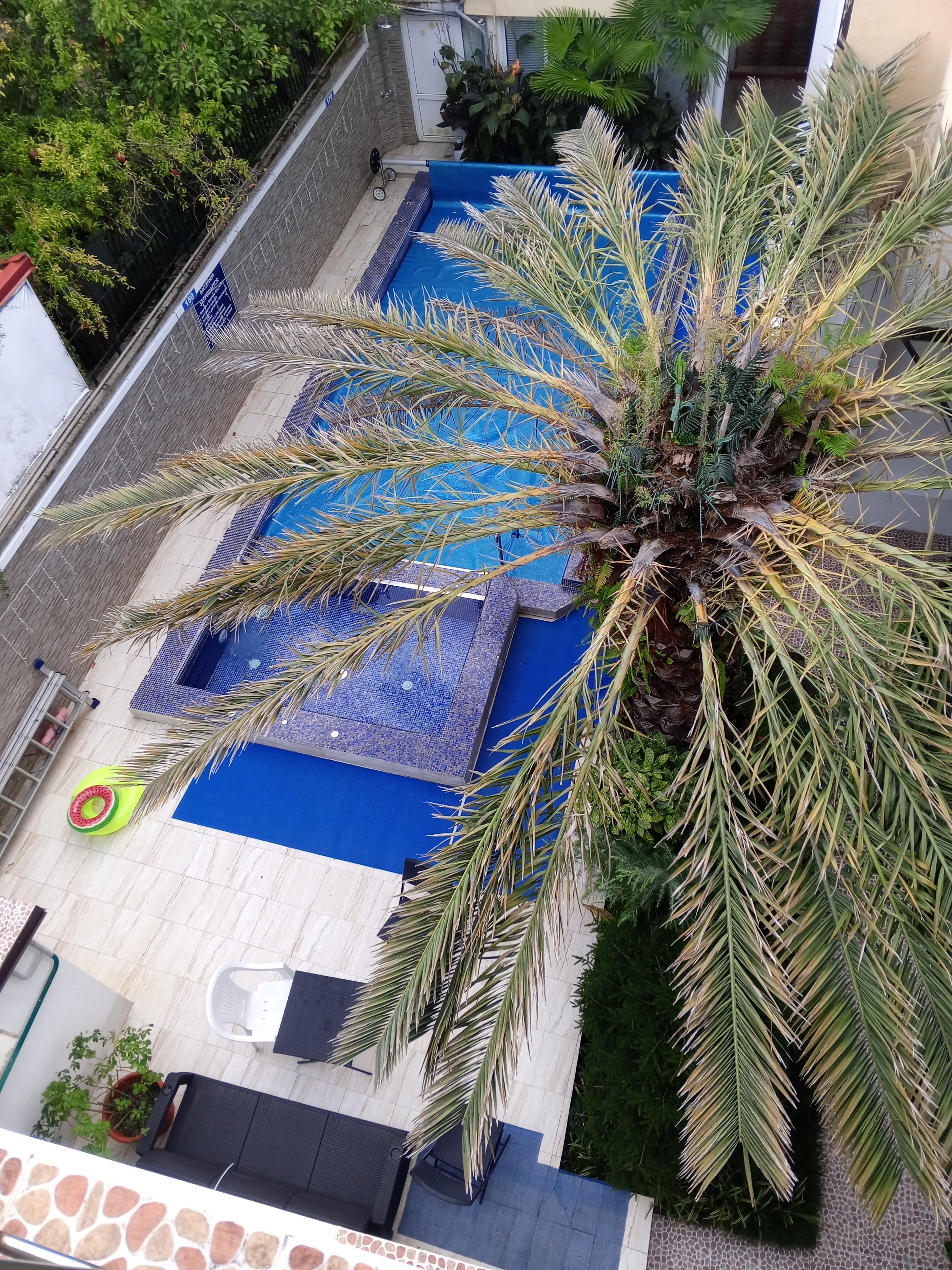 Фото Сириус