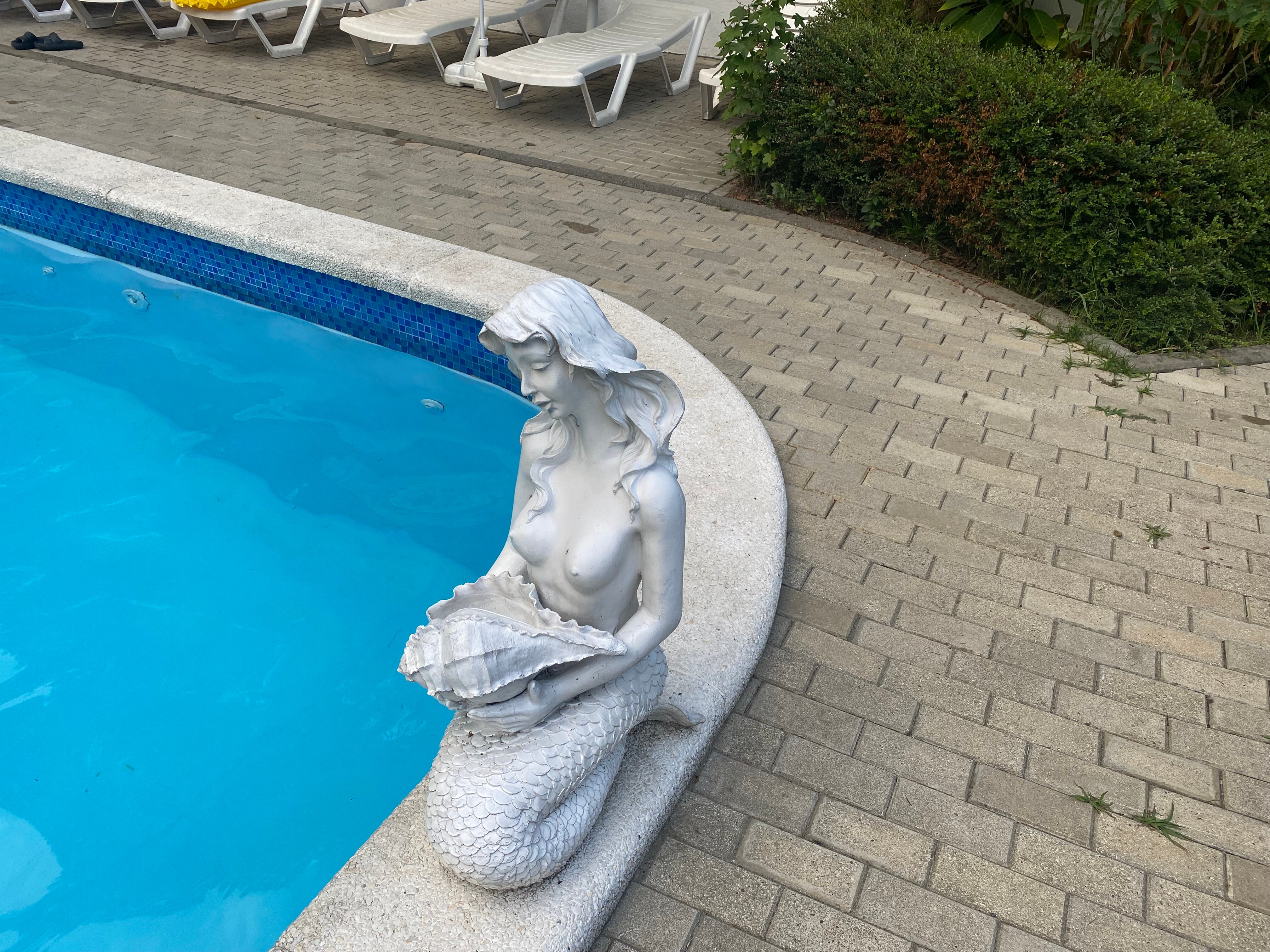 Фото Старая Хоста