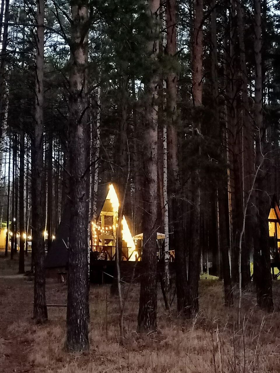 Фото Шелест Inn