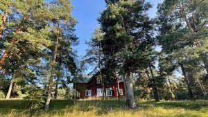 Дом отдыха ЭкоДеревня Вековые Сосны