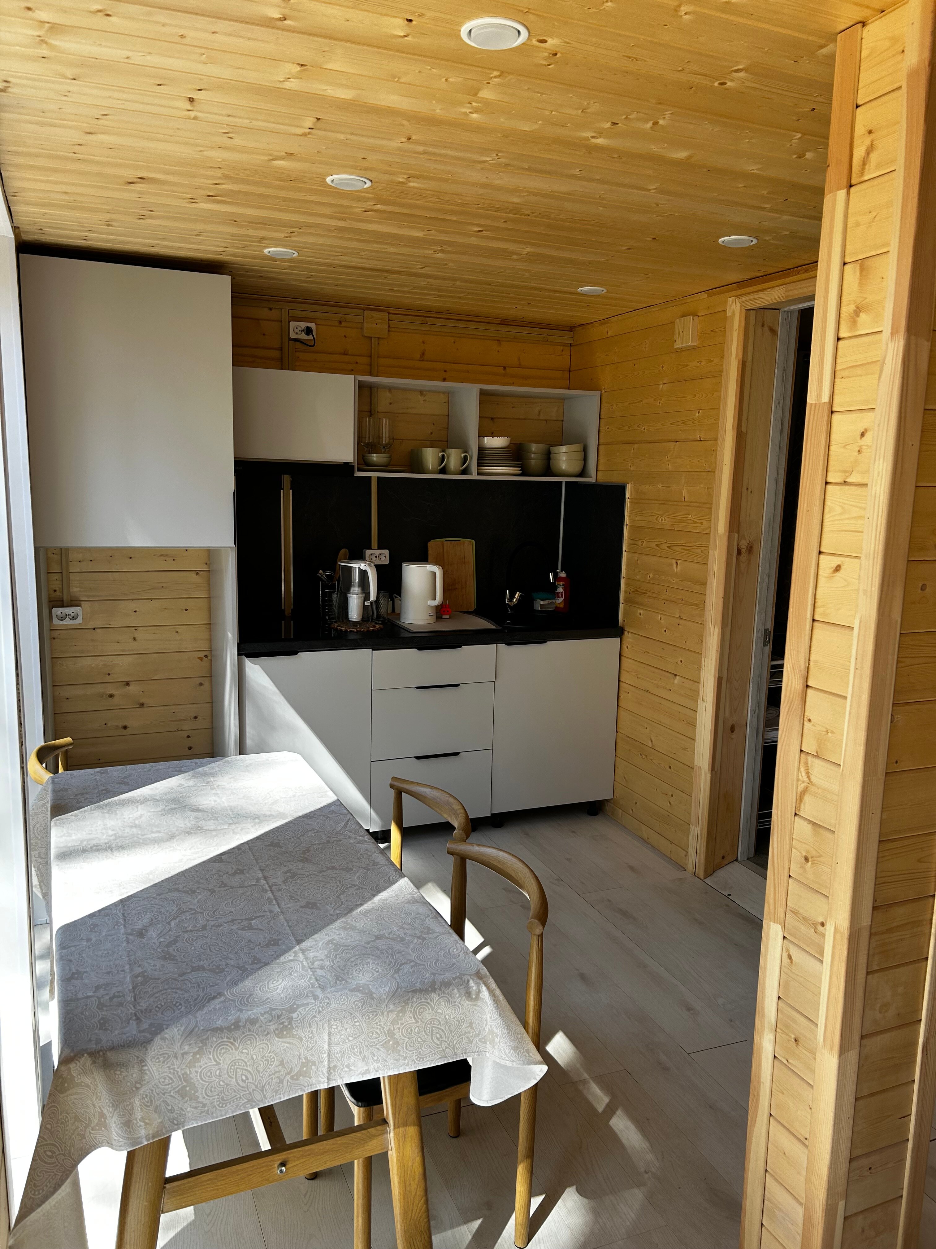 Фото Багульник