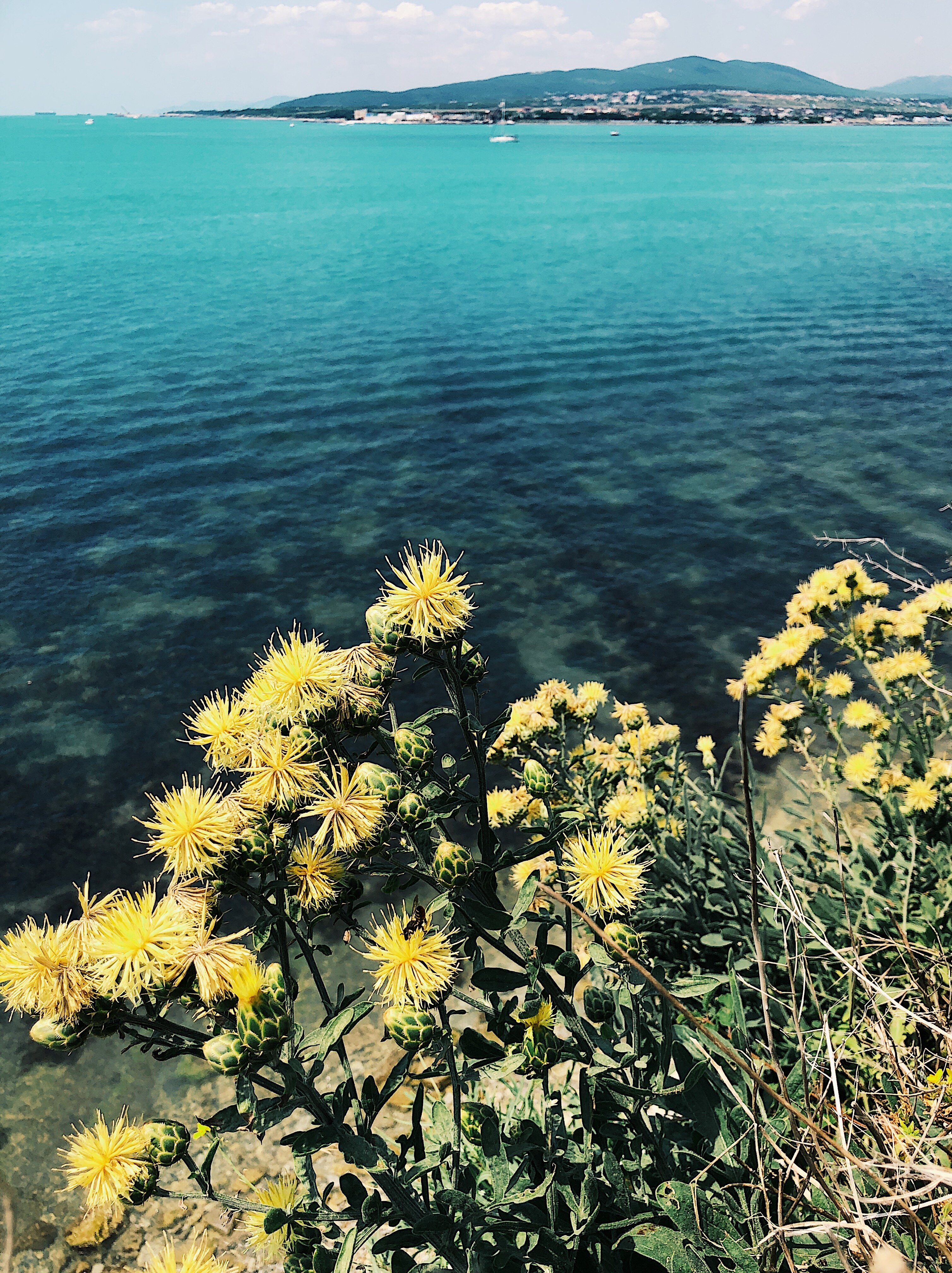 Фото Гостевой дом на Тельмана 23