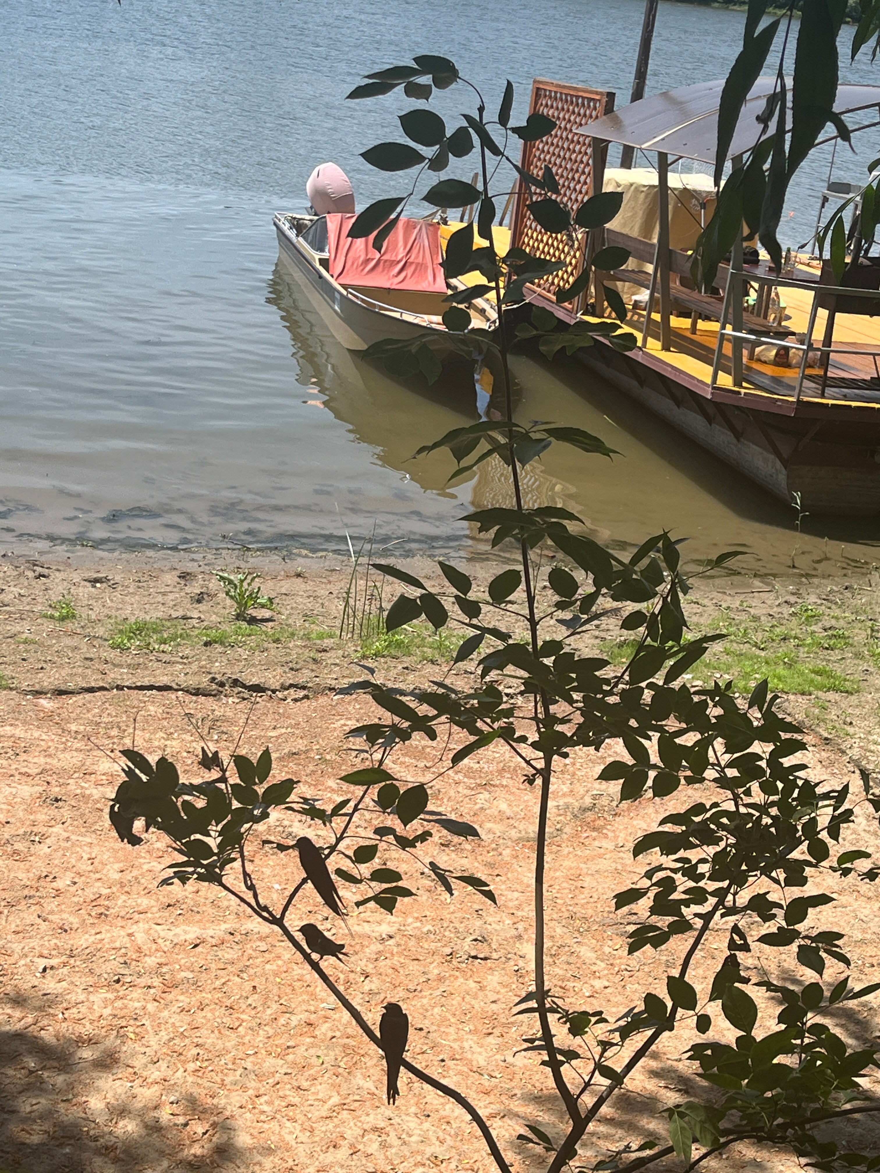 Фото На реке