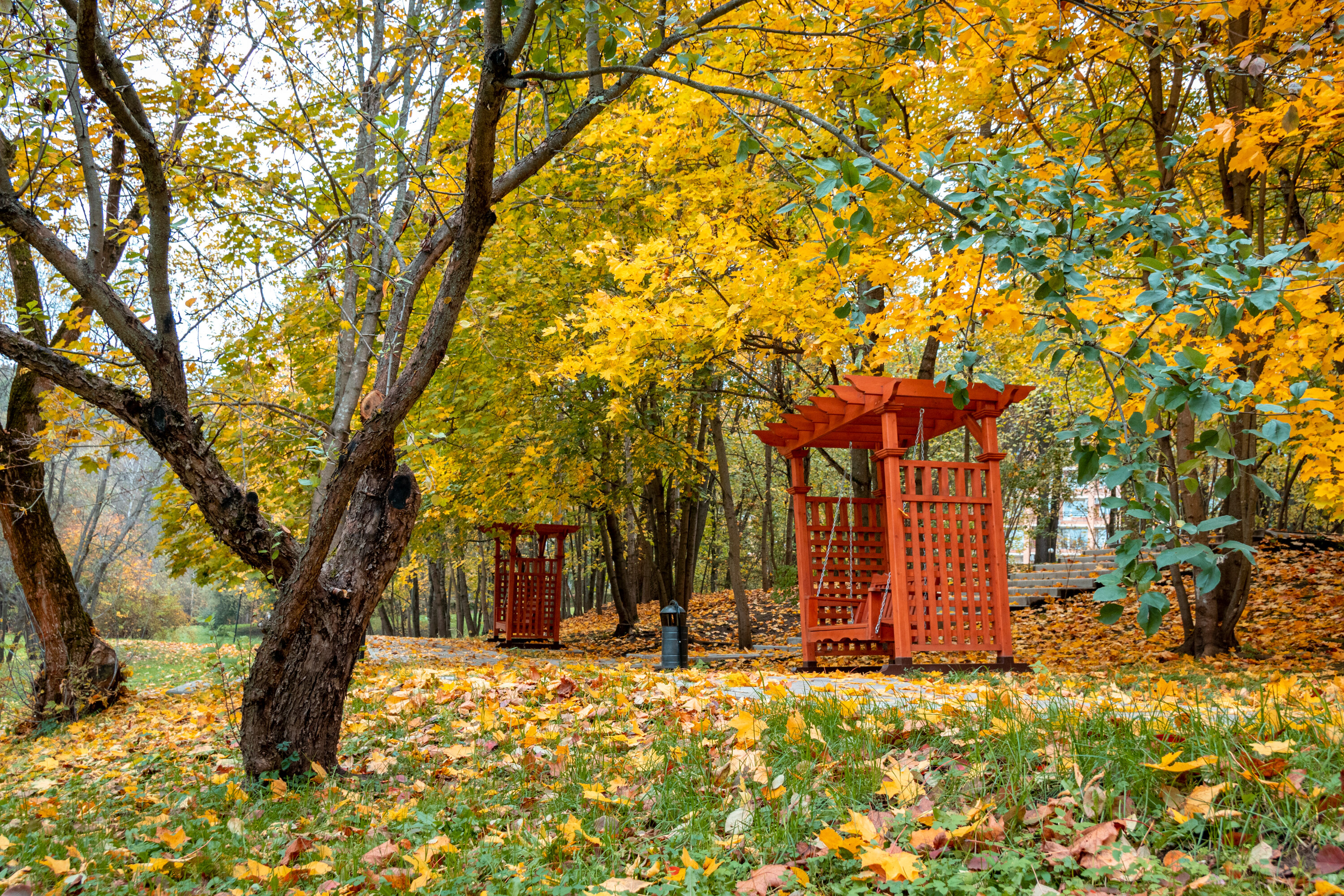 Фото Планерное