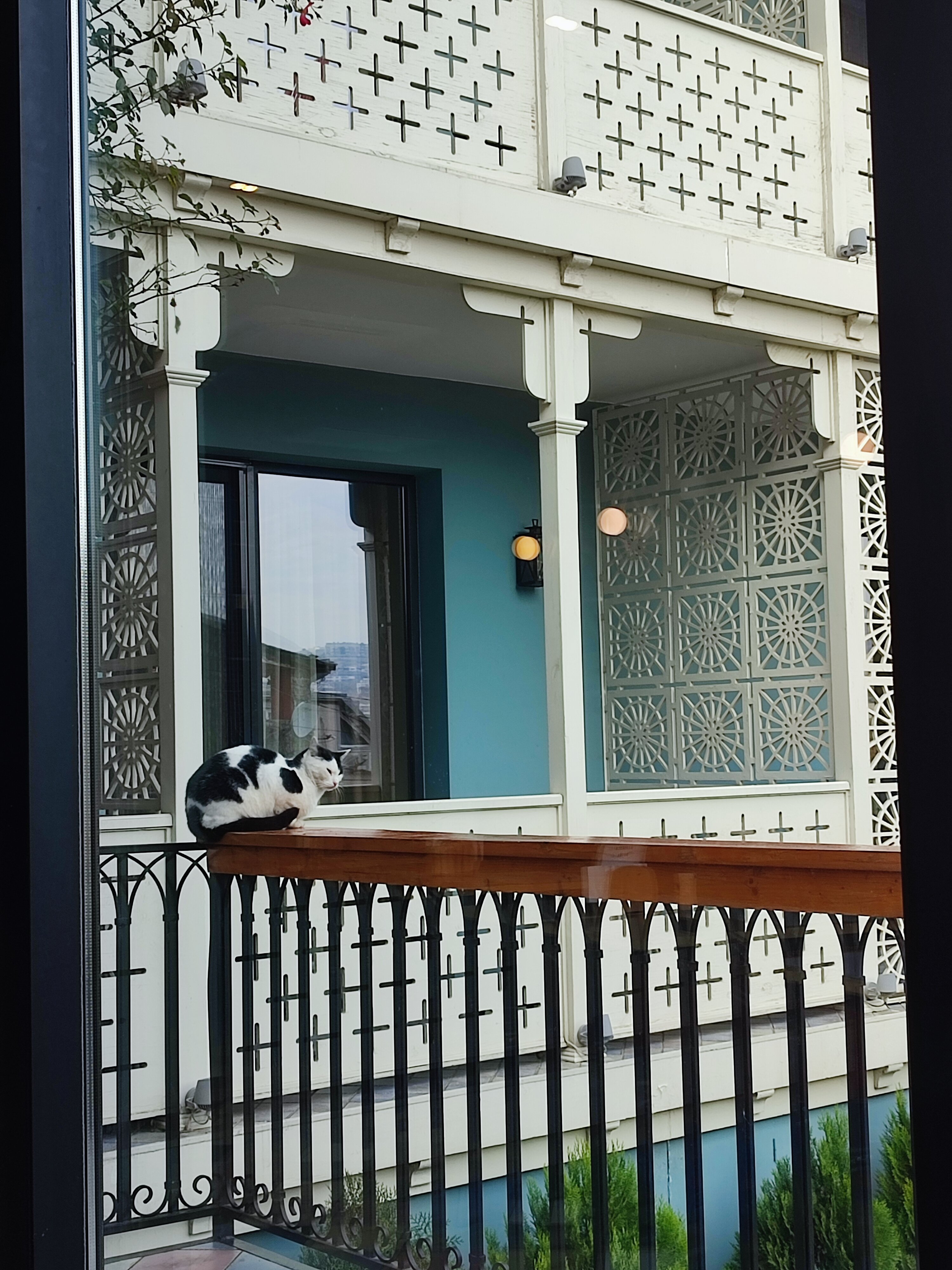 Фото Amante Narikala