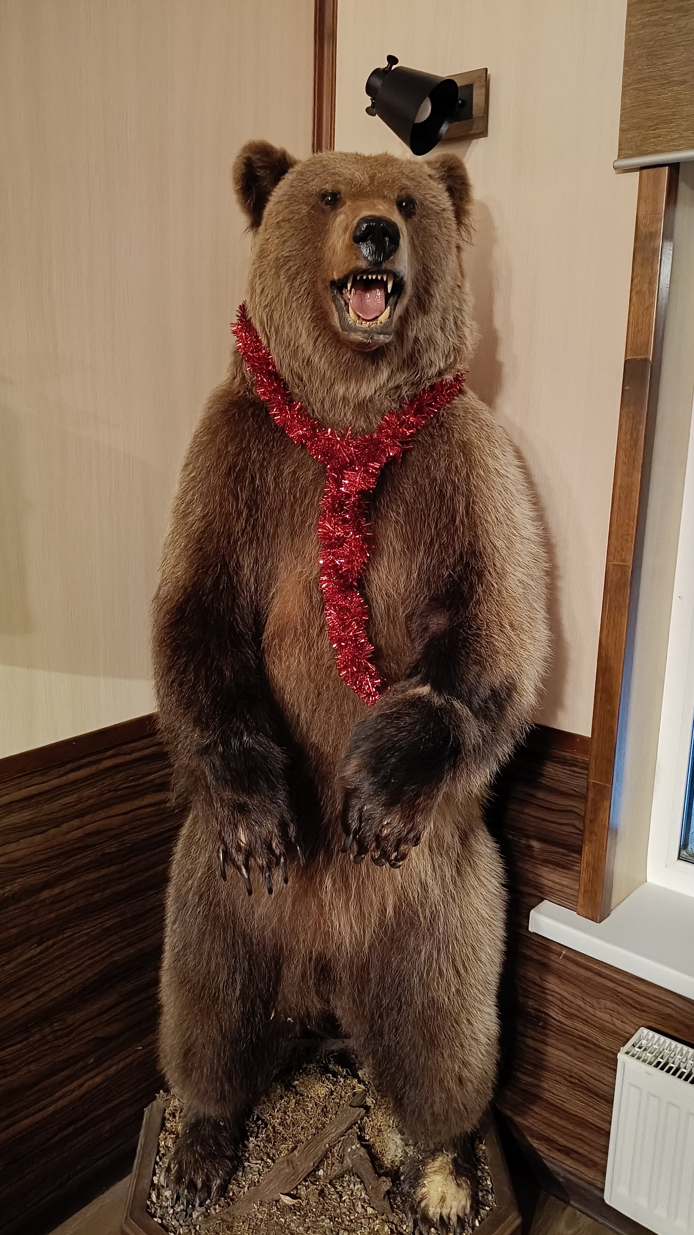 Фото Мини-отель Легково