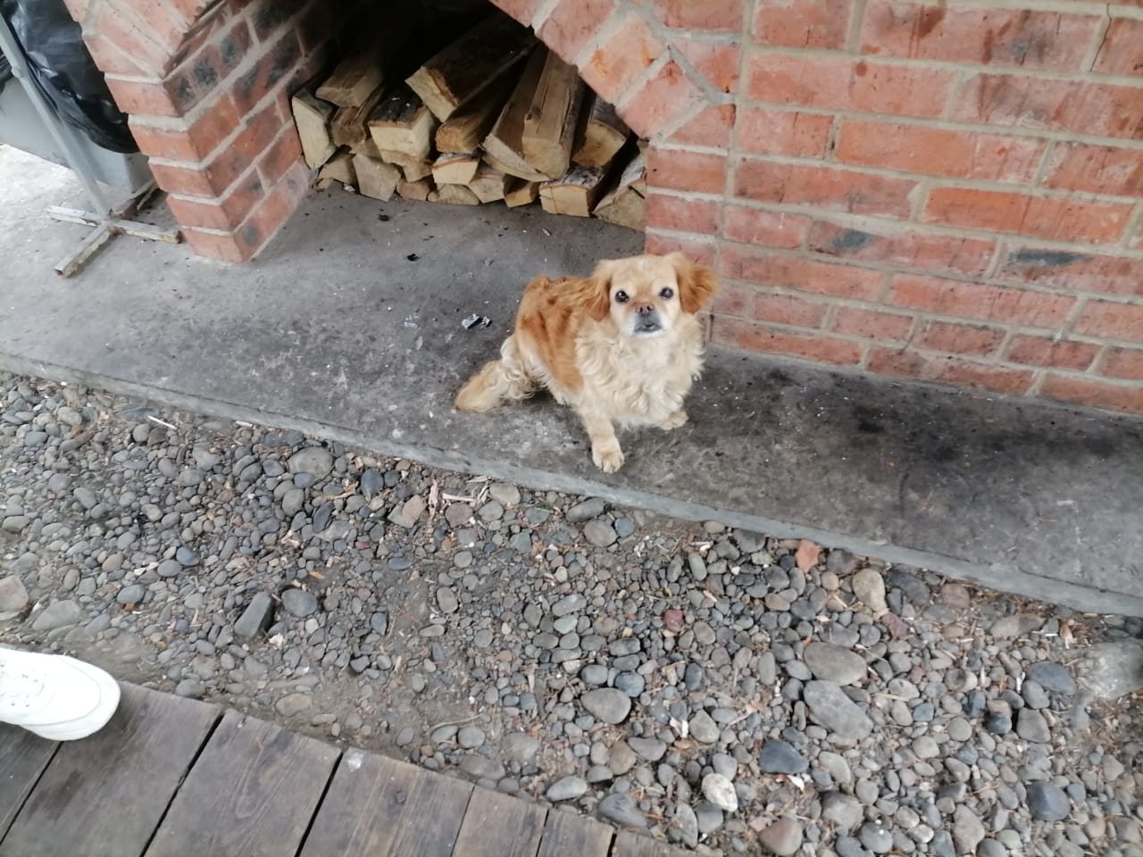 Фото Сплавной участок