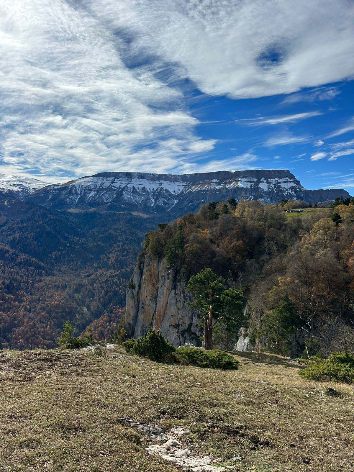 Фото Forest Village