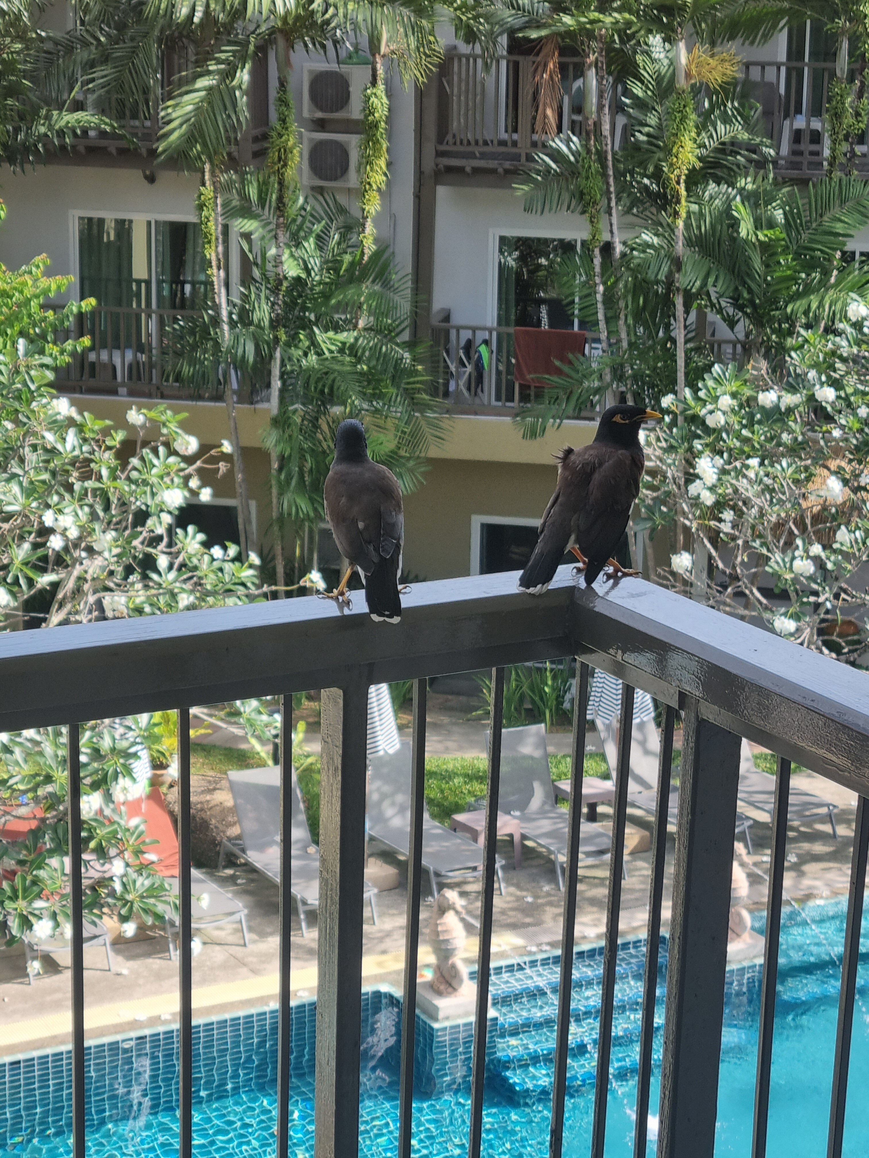 Фото Baan Karon Resort