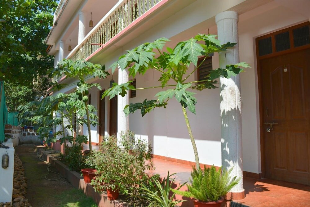 Фото Pebbles Guesthouse