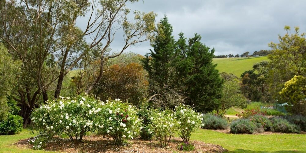 Фото Bellbrae Motel