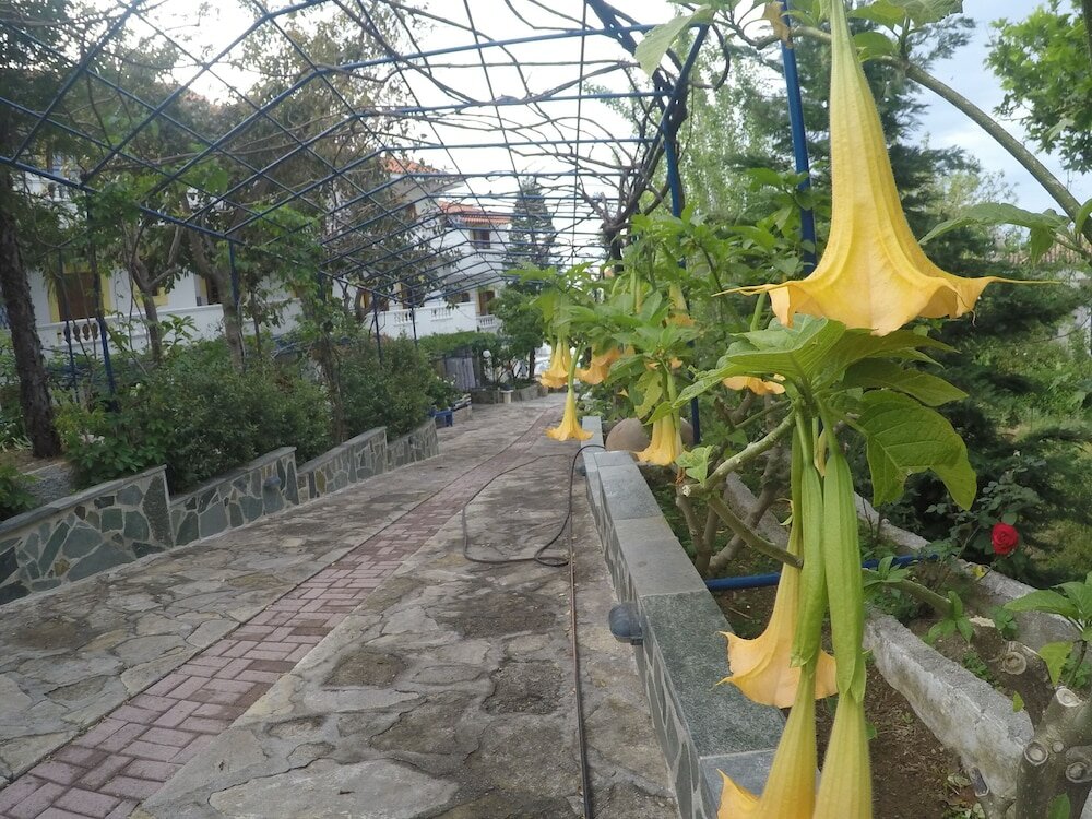 Фото Zafiria Apartments