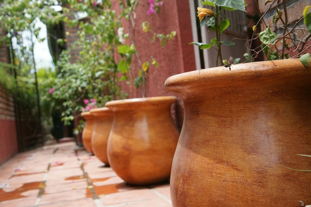 Фото Corail Suites