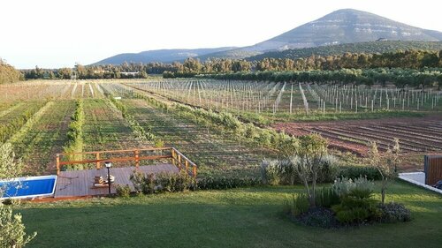 Гостиница Agriturismo Casale degli Ulivi