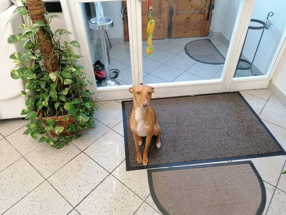 Фото Hotel Cilene