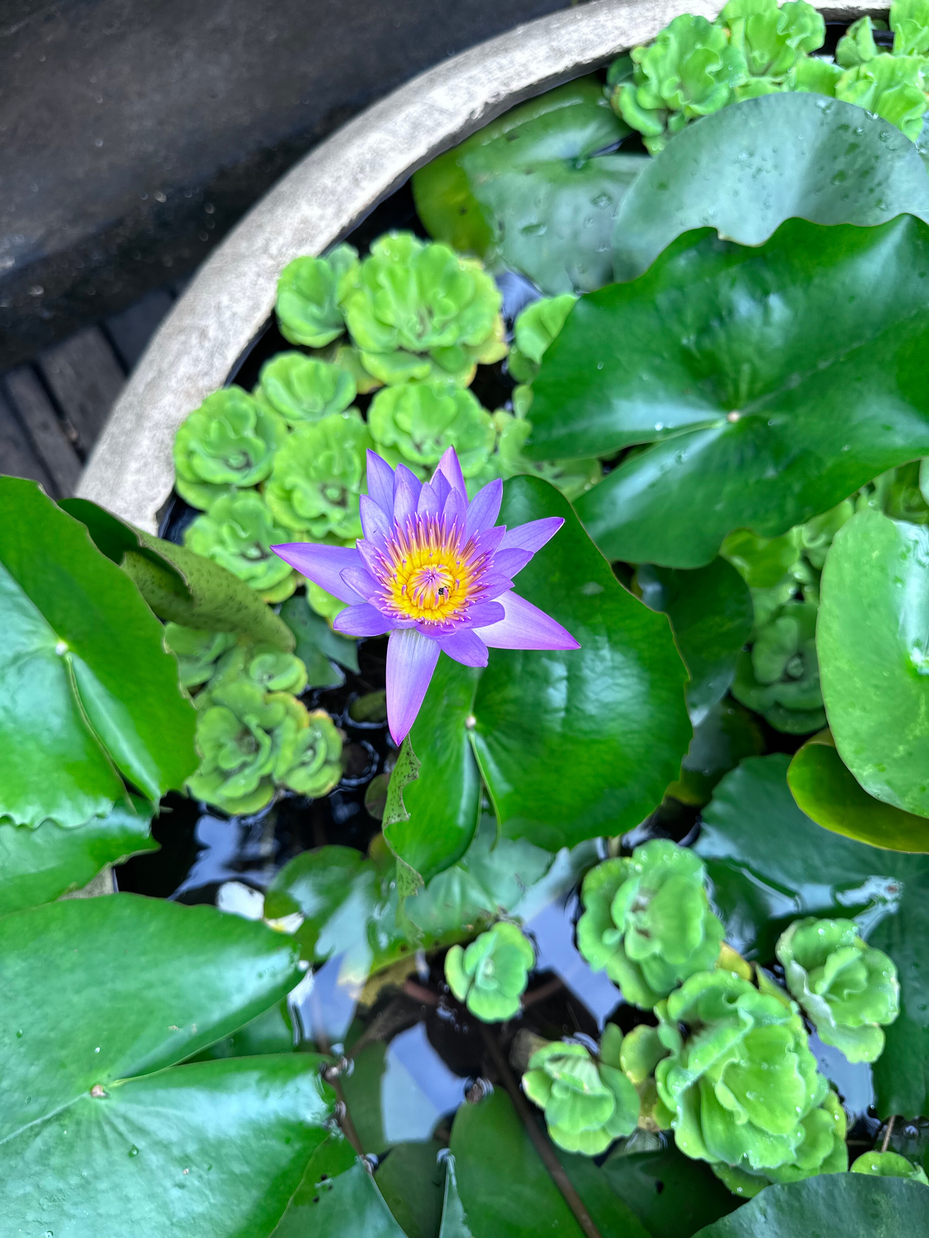 Фото Riva Beach Resort