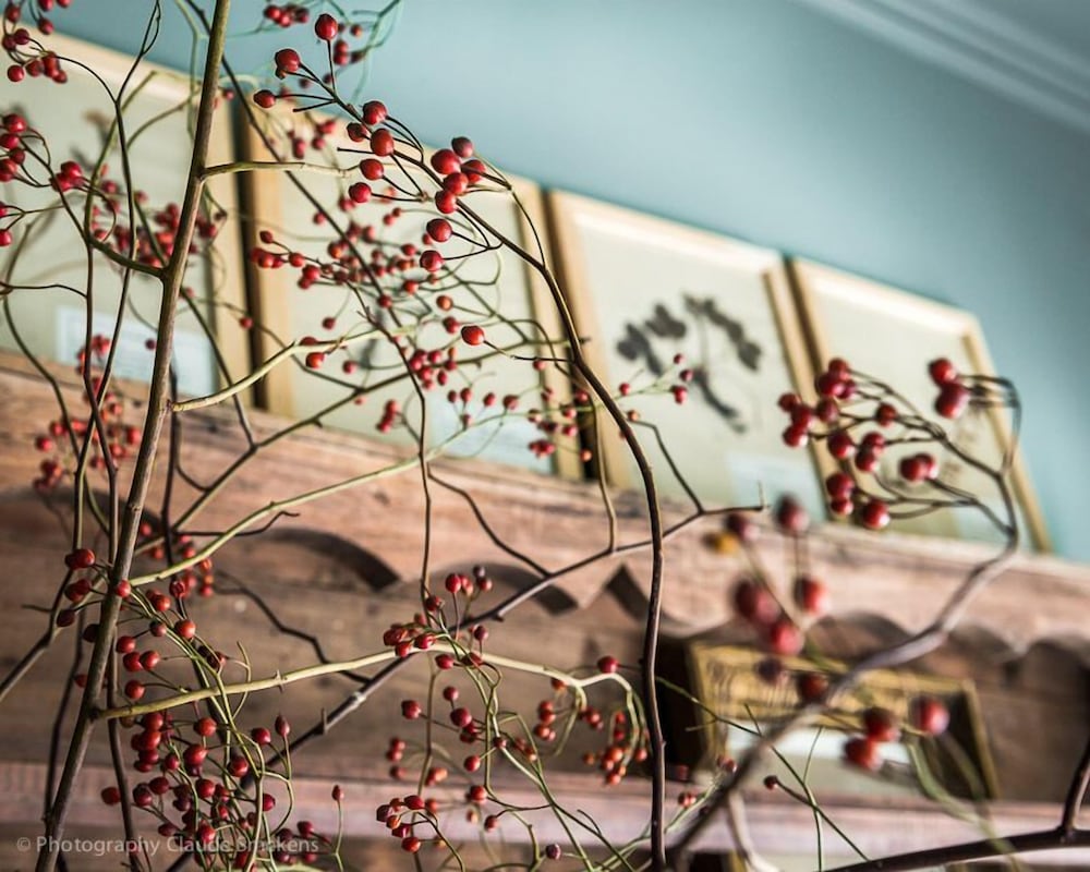 Фото Apartment Dijver