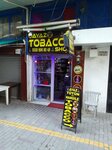 Ayaz Tobacco (İzmir, Konak, Alsancak Mah., 1441 Sok., 11C) ، متجر مستلزمات التدخين