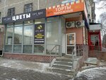 9 Ostrovov (Akademika Bardina Street, 40к1), confectionary