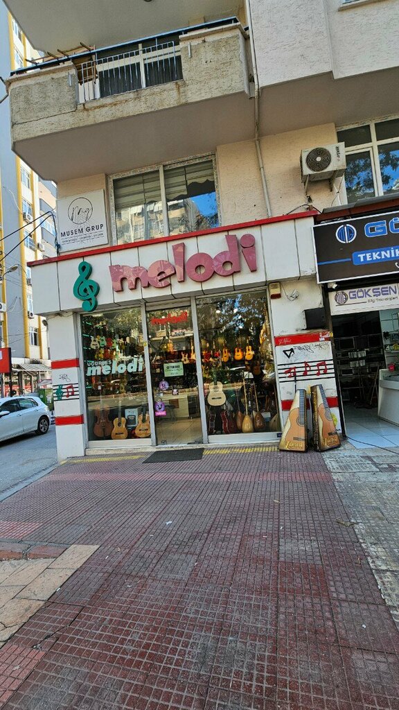 Music store Melody Musical Instruments Barajyolu, Adana, photo