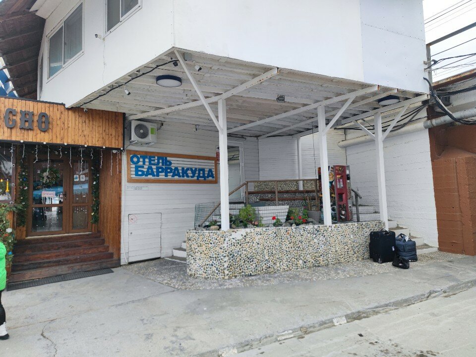 Фото Барракуда