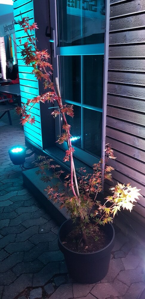 Фото Hotel am Untreusee