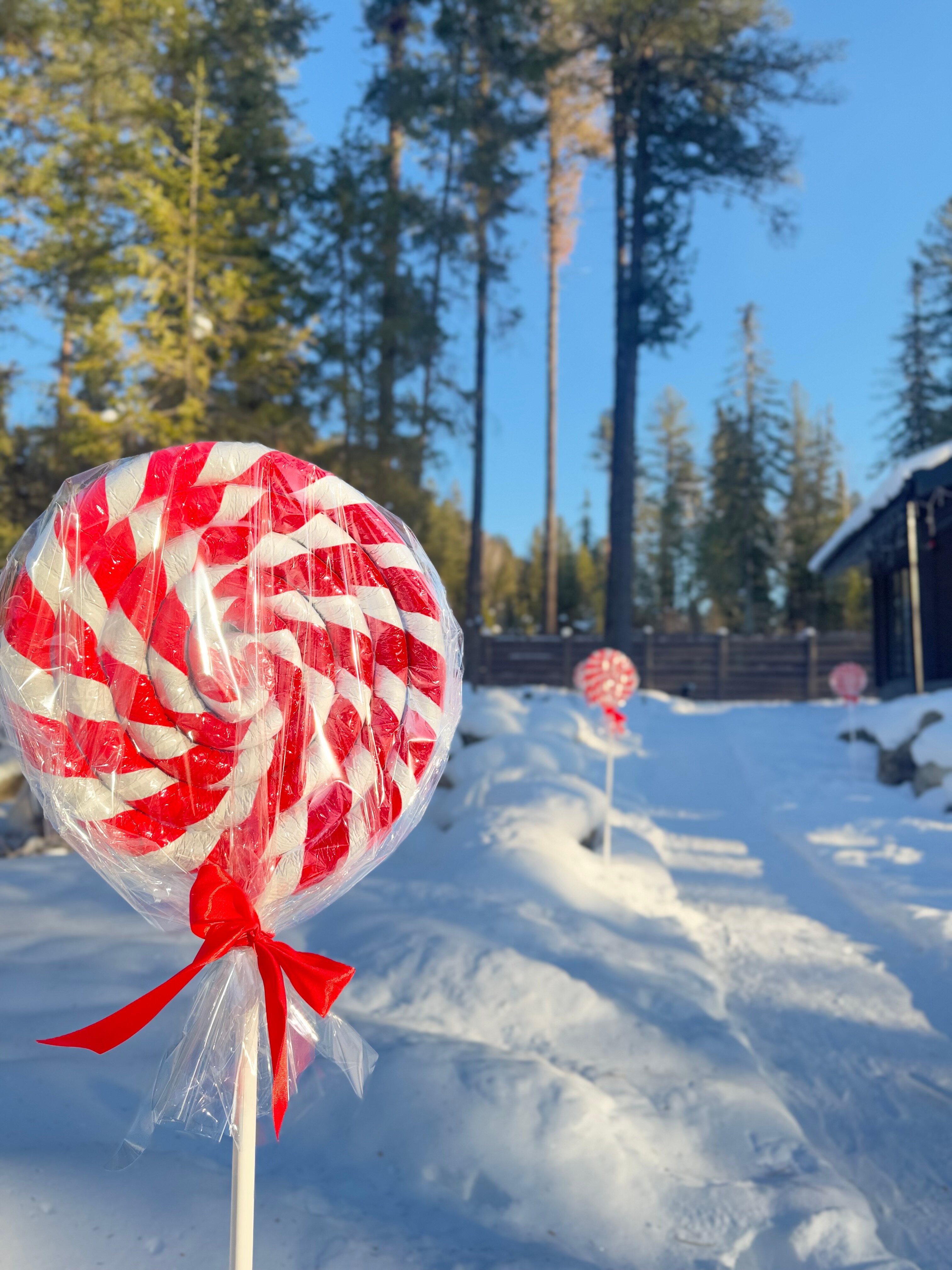 Фото Вместе