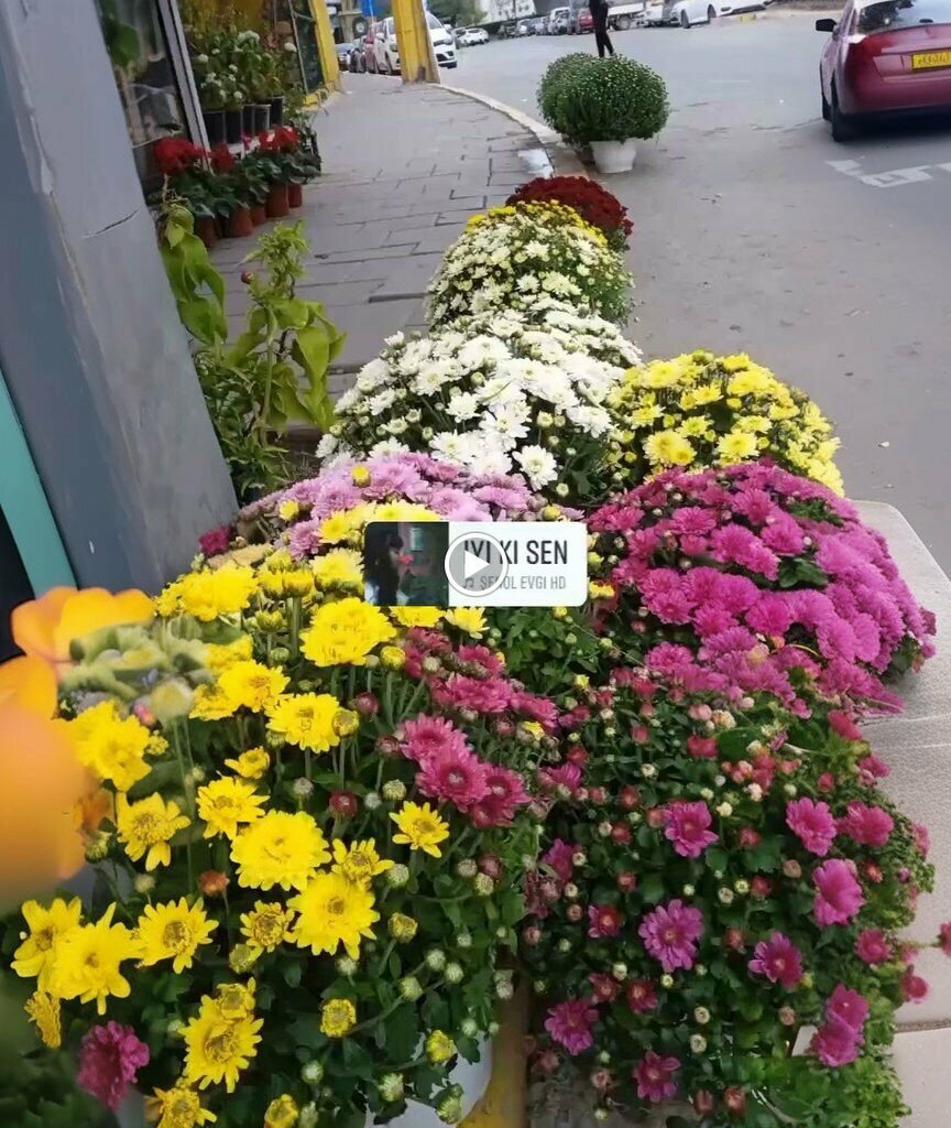 Flower shop Metro Cicekcilik, Nazilli, photo