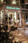 Green Sova (Moskovskiy Lane, 16) ، مطعم