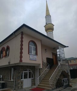 Ozlu Neighborhood Mevlana Mosque (Trabzon, Arsin, Özlü Mah.), mosque