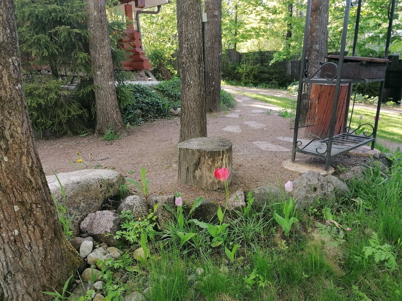 Фото Коттедж Рябиновка