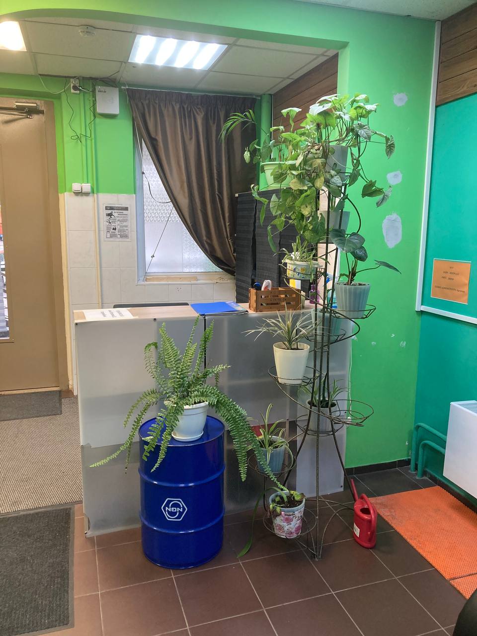 Фото Регион 13