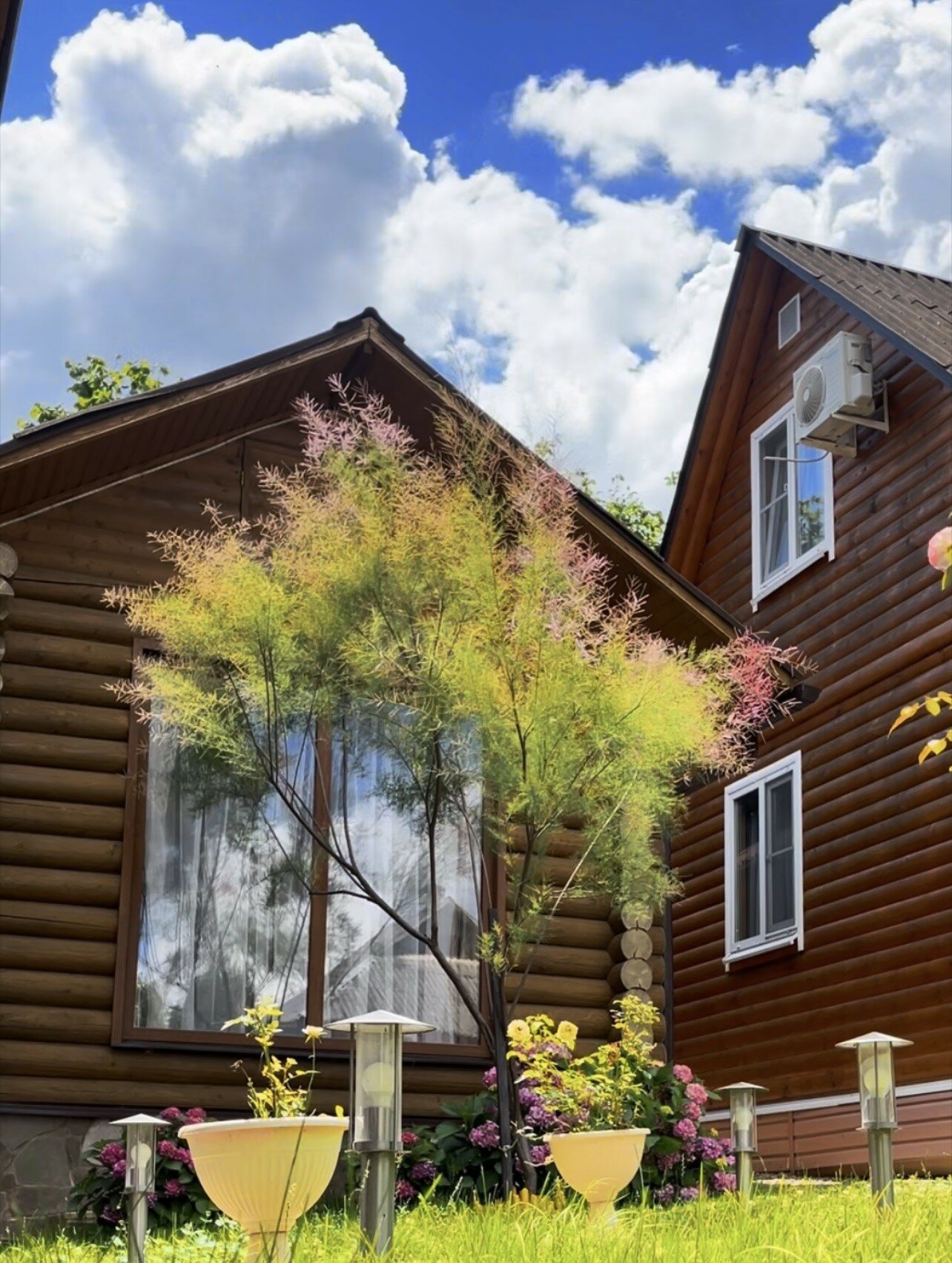 Фото Белая вежа