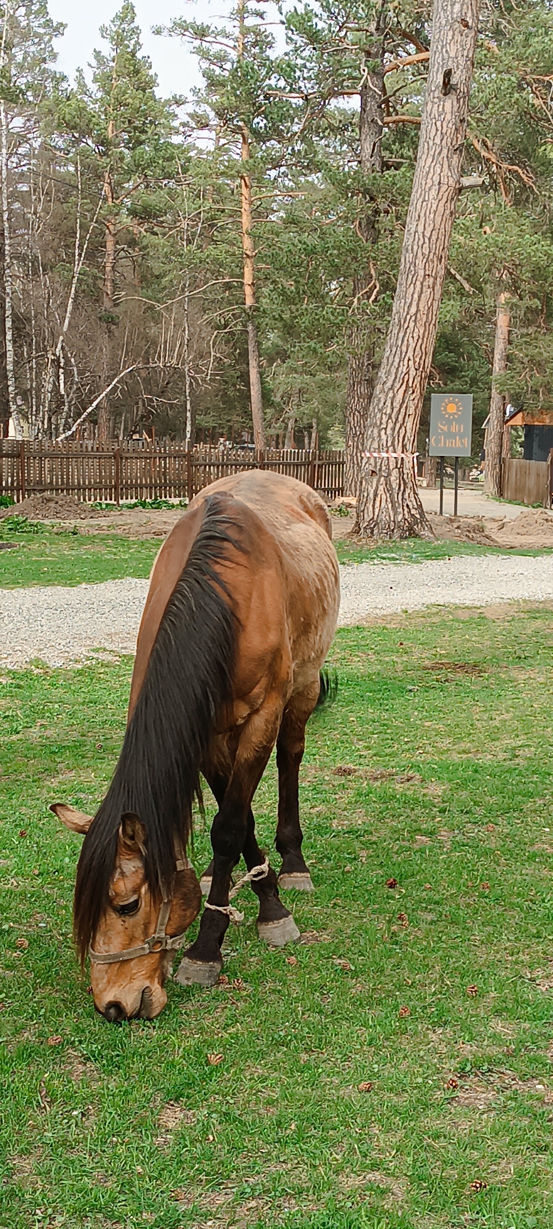 Фото Solu Chalet