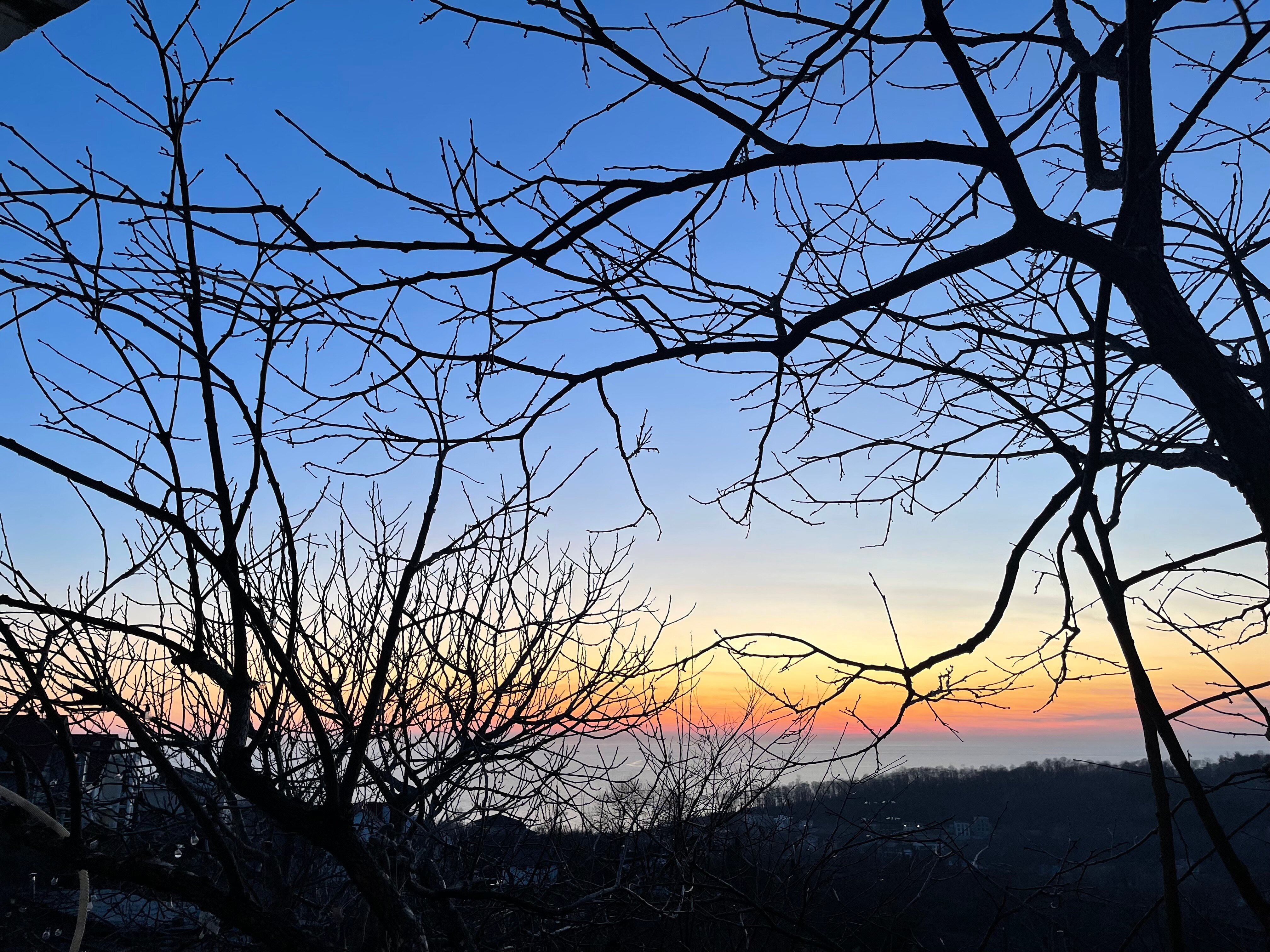 Фото Дом радости