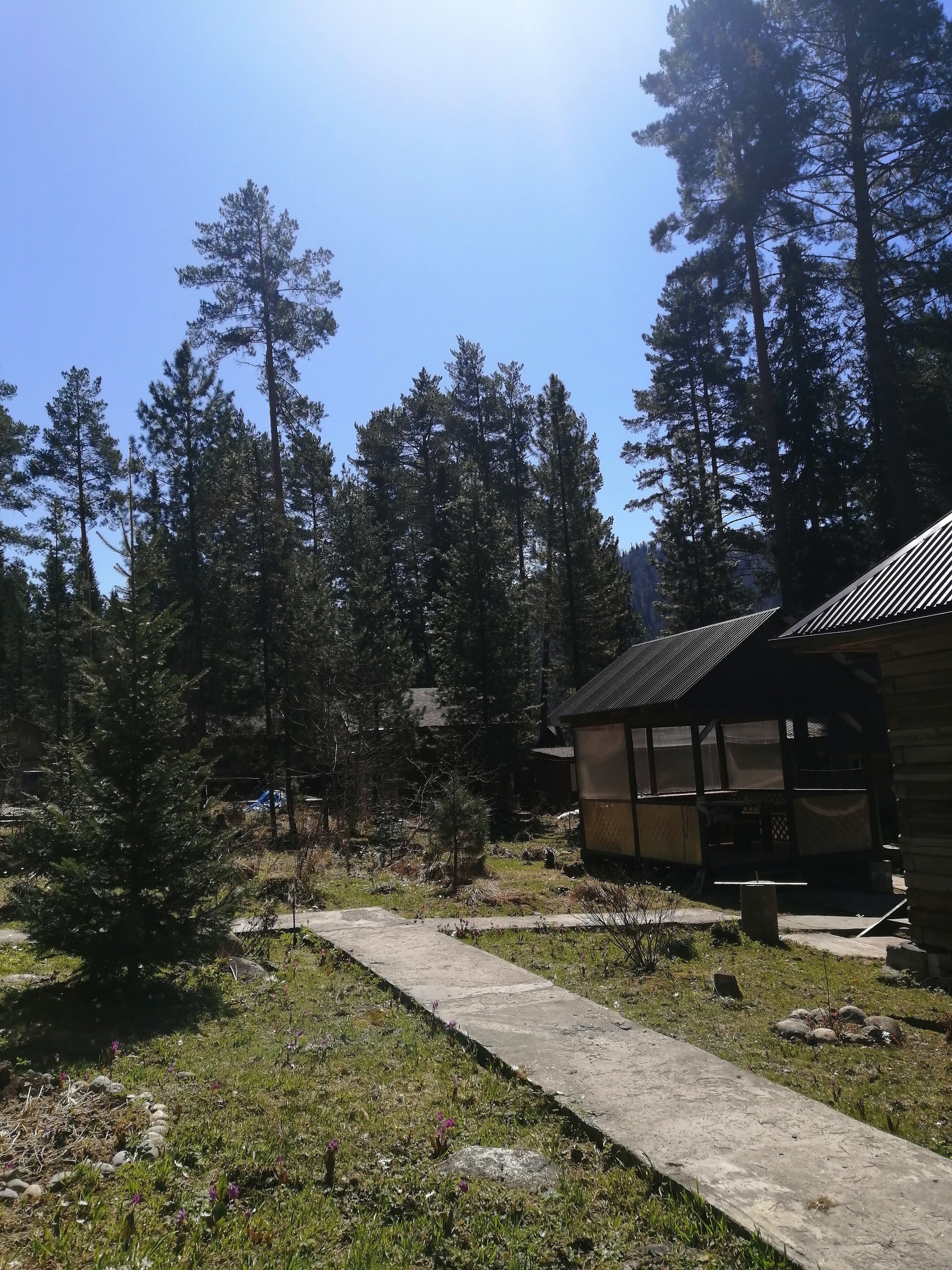 Фото Солнечная