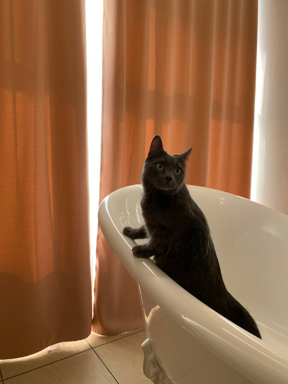 Фото АпартПейдж Невский