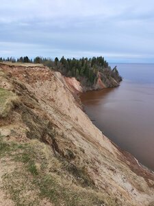 Гора Андома (Вологодская область, 19-222ОПМЗ19Н-008), горная вершина в Вологодской области