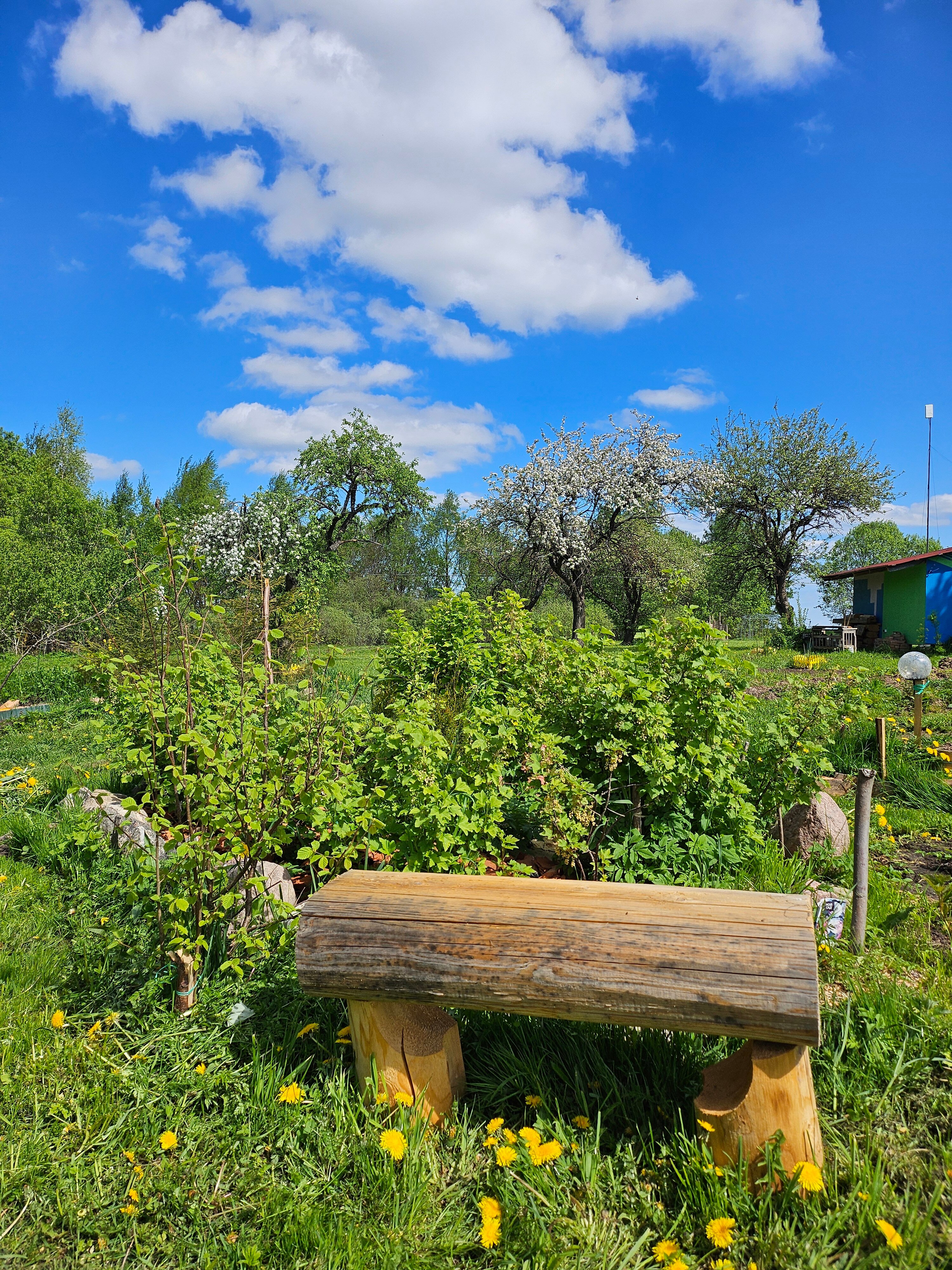 Фото Форт Логово в Бабариках